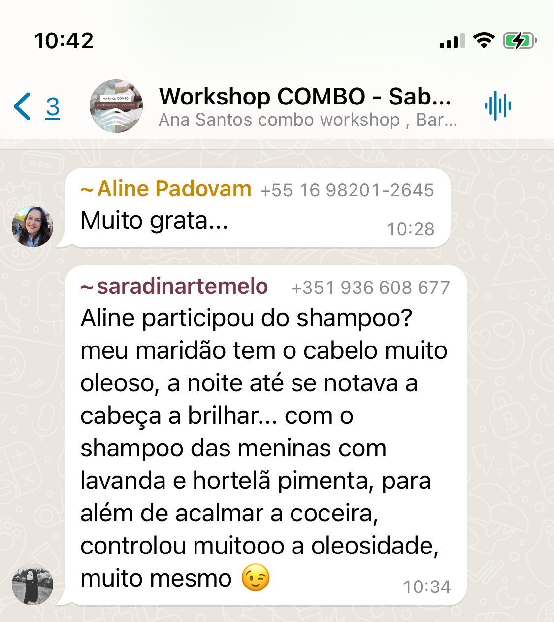 Captura de Tela 2024-08-14 à(s) 10.42.43.jpeg