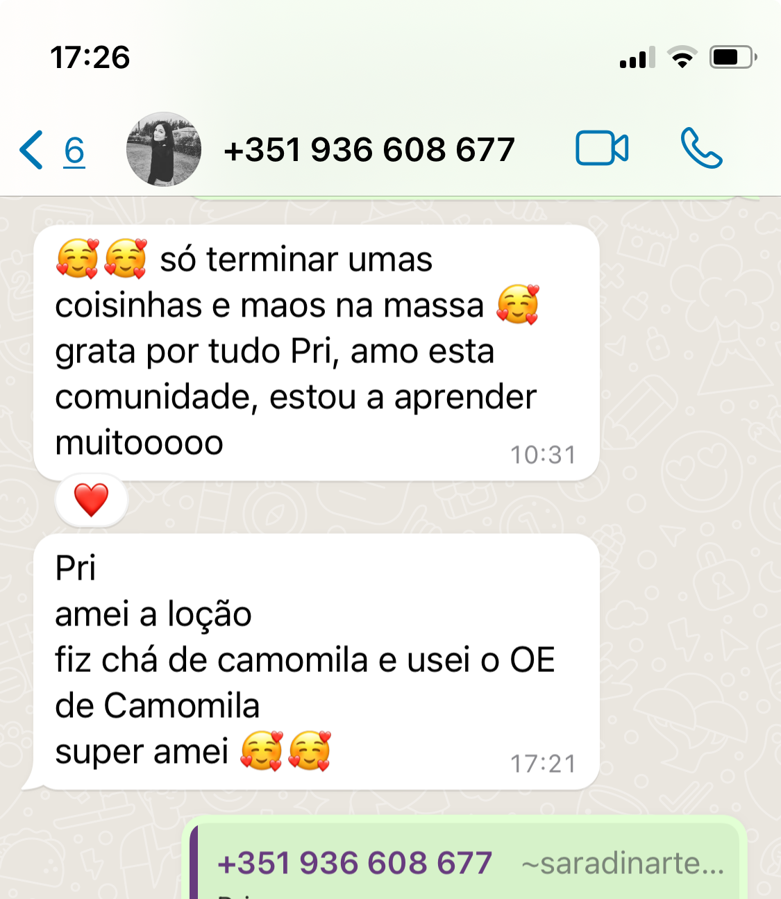 Captura de Tela 2024-08-14 à(s) 17.26.19.jpeg