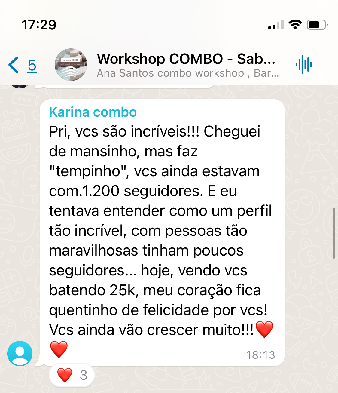 Captura de Tela 2024-08-14 à(s) 17.29.11.jpeg